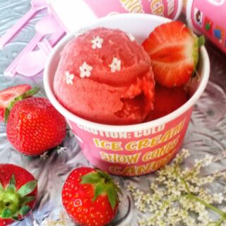 Review Magimix zelfvriezende ijsmachine, Magimix Turbine à Glace