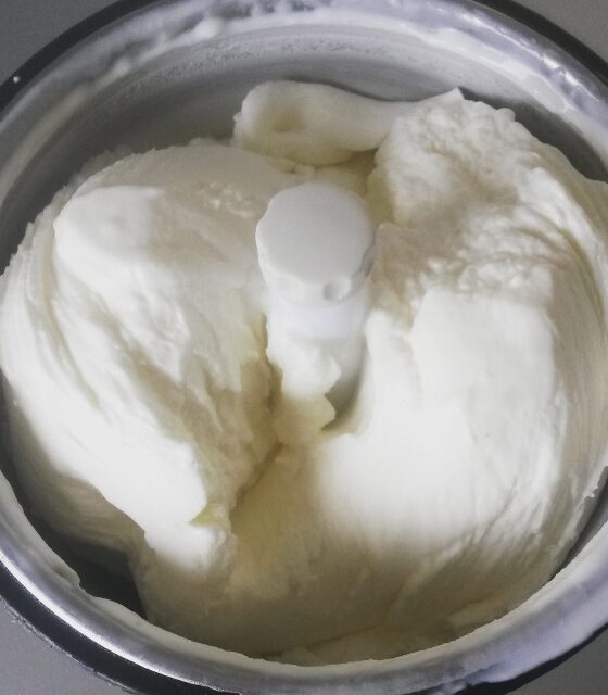 Review Magimix zelfvriezende ijsmachine, Magimix Turbine à Glace